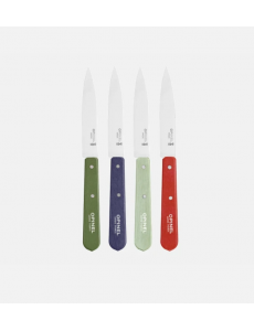Coffret couteaux x4 Paysage...